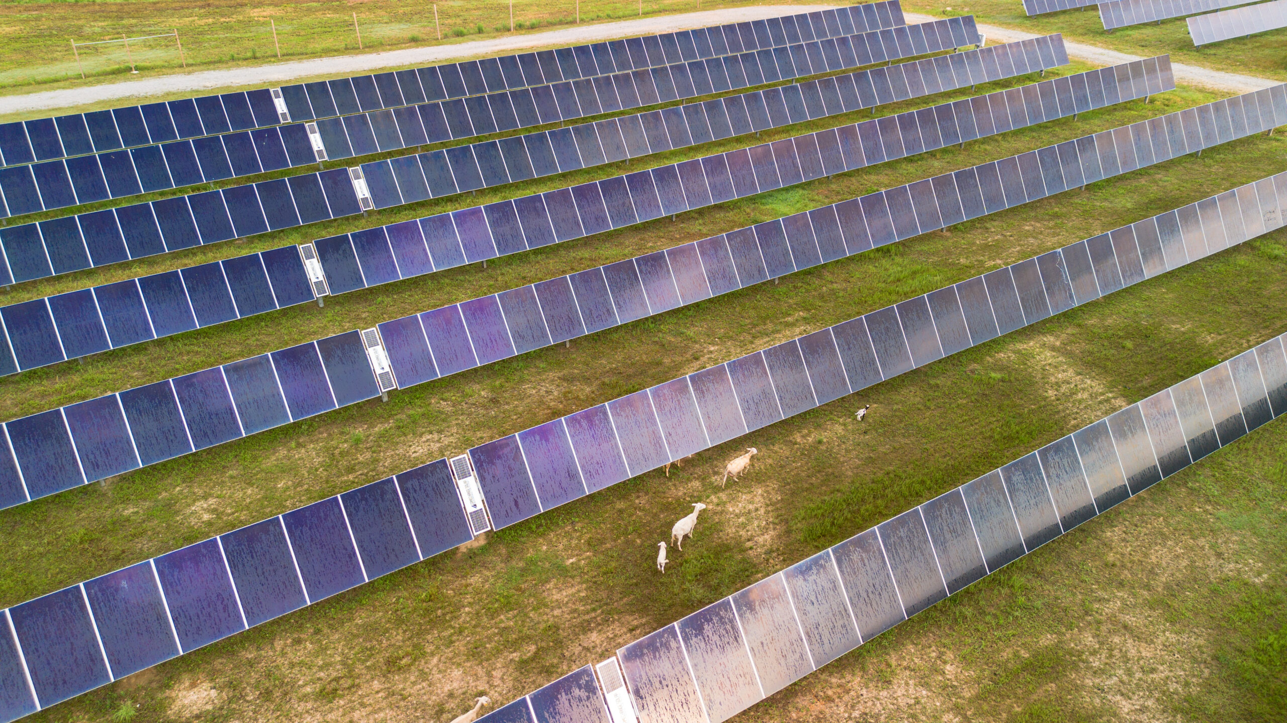 Newport Solar